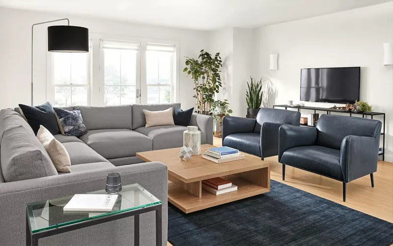 Gray and Blue Modern Living Room